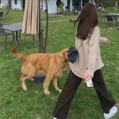 路德维希