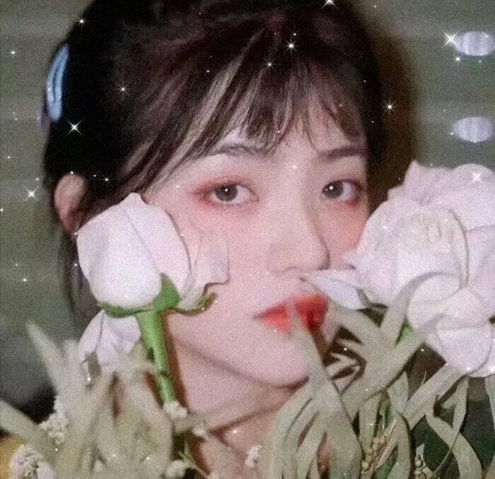 风尘知已